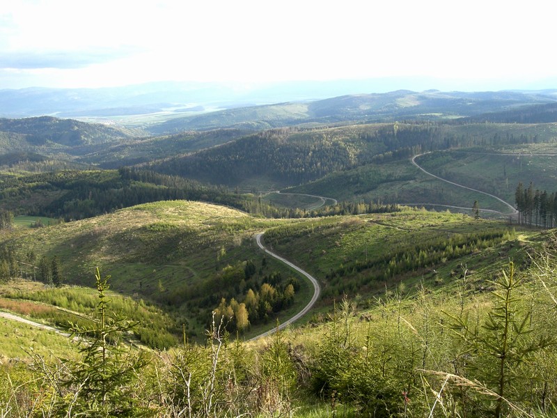 Levočské vrchy Levočské vrchy