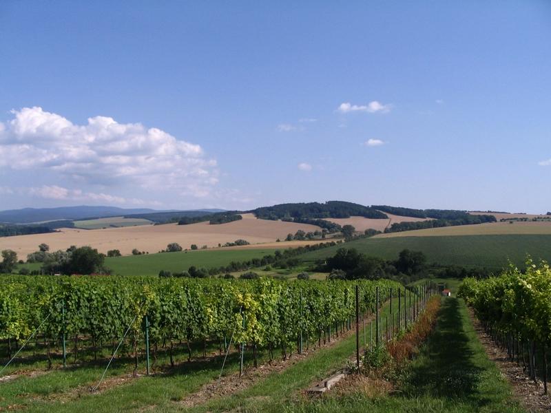 Mikroregion Ostrožsko-Veselsko Mikroregion Ostrožsko-Veselsko