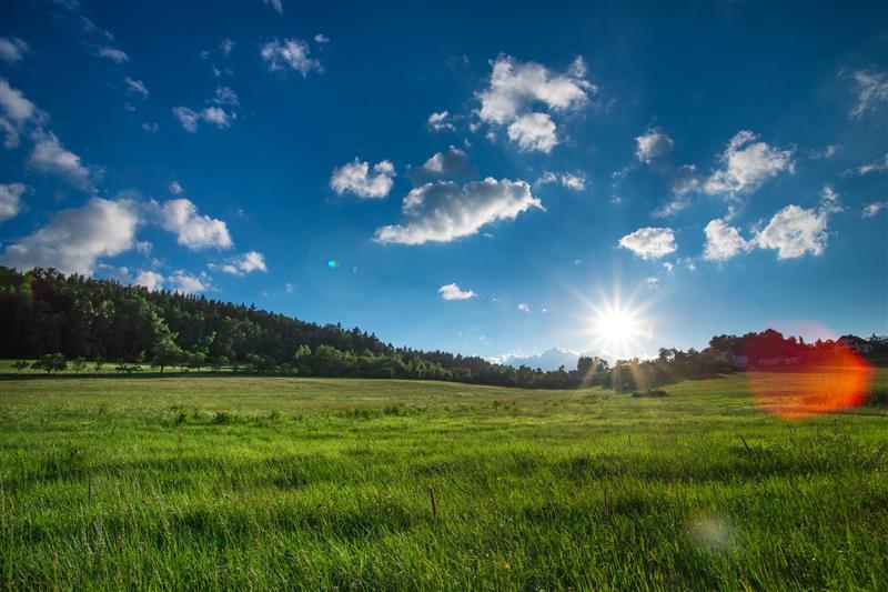 Z kraje Vysočina Z kraje Vysočina