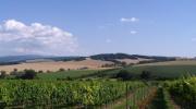 Mikroregion Ostrožsko-Veselsko