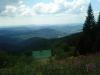 dsc00613.jpg